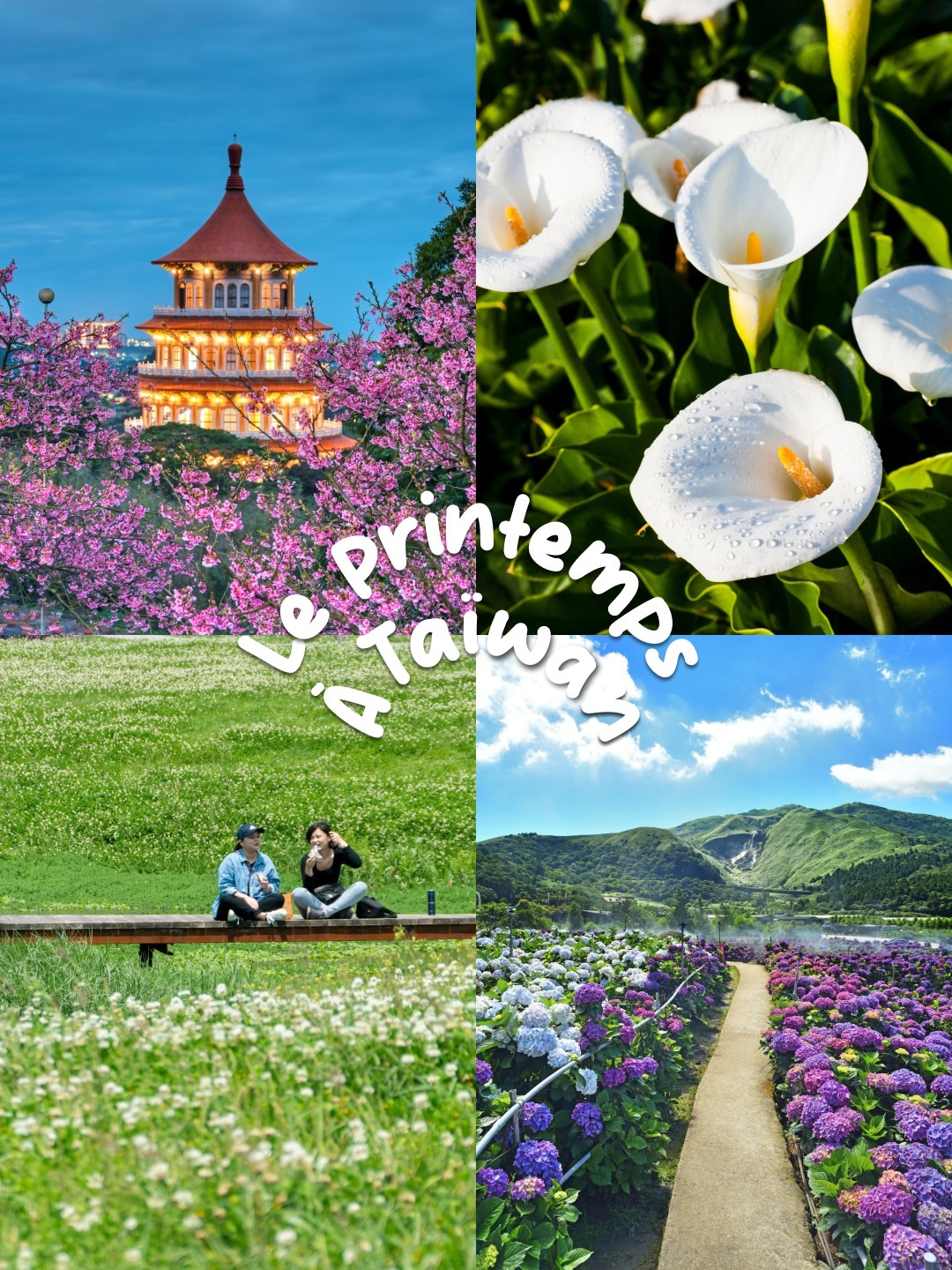 3 bonnes raisons de venir au printemps à Taïwan 👇

Les températures sont douces et la pluie se fait plus rare : des conditions idéales pour la randonnée 🥾

Les paysages fleurissent : c’est la saison des lys blancs, des hortensias, des azalées 🌸

L’emblématique festival de Fulong Beach revient en avril et ses sculptures de sable vont t’impressionner. 🏖️

📸 lcc54613 / BINGJHEN / nicolashan / lcc54613 - Adobe Stock