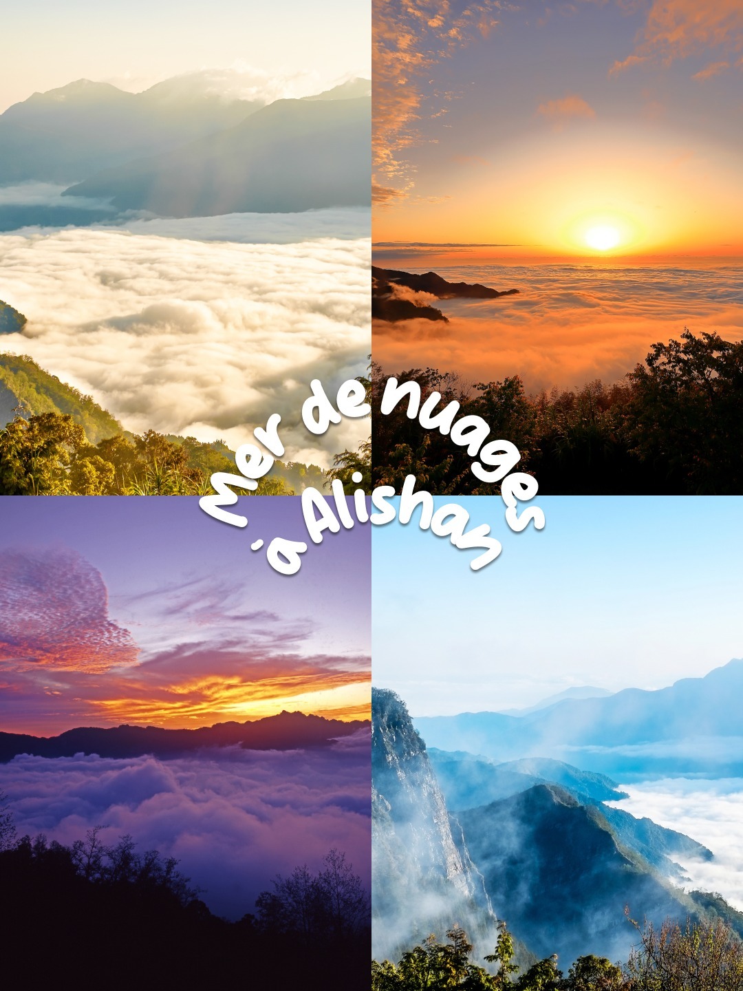 Petit aperçu de ce qui t’attend si tu viens à Alishan 😎

Imagine un peu. Le réveil sonne, il est super tôt. Ça pique. Tu t’équipes pour partir en randonnée aux aurores. Tu serpentes la forêt luxuriante, ça grimpe un peu. Tu t’accroches parce qu’au fond de toi, tu sais que ça en vaut la peine. 🥾

Après quelques heures de marche sur Eryanping Trail, la récompense. Le lever de soleil sur la mythique mer de nuages qui flotte au-dessus d’Alishan. Et là, tu sais pourquoi tu t’es levé.e tôt ce matin. 🫶

📸 voyata / leochen66 / TPG / voyata - Adobe Stock