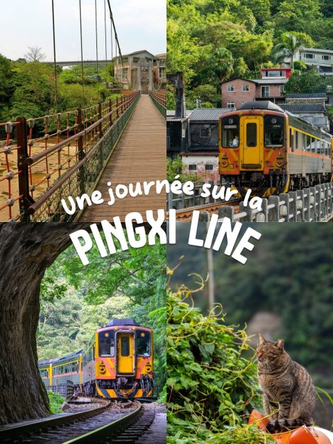Une journée sur la Pingxi Line, ça ressemble à ça 👇

🕗 Premier arrêt : Jingtong Station
Elle est petite mais le train repart 12 minutes plus tard, alors tu peux prendre le temps de te promener un peu !

🕙 Matinée : Pingxi Station
Plus calme que Shifen, tu ne vas pourtant pas t’y ennuyer. Ici, on trouve plein de restaurants et de petites boutiques de souvenirs. Mention spéciale pour le temple situé à gauche du village. 🕵️

🕛 Déjeuner : Shifen Station (Shifen Waterfall, pont suspendu, lancer de lanternes, passage du train)

🕝 Après-midi : Houtong, le paradis des chats

Nos 3 conseils : 
1️⃣ Opte pour une nuit à Ruifang la veille de ton départ pour optimiser ta journée.
2️⃣ Prévois ton day-trip en semaine, il y a moins de monde.
3️⃣ Achète un pass d’un jour pour la Pingxi Line. Tu peux en trouver à la gare de Taipei ou directement à Ruifang si tu y passes la nuit.

📸 leochen66 / BINGJHEN / Sean Hsu / Shawn.ccf - Adobe Stock