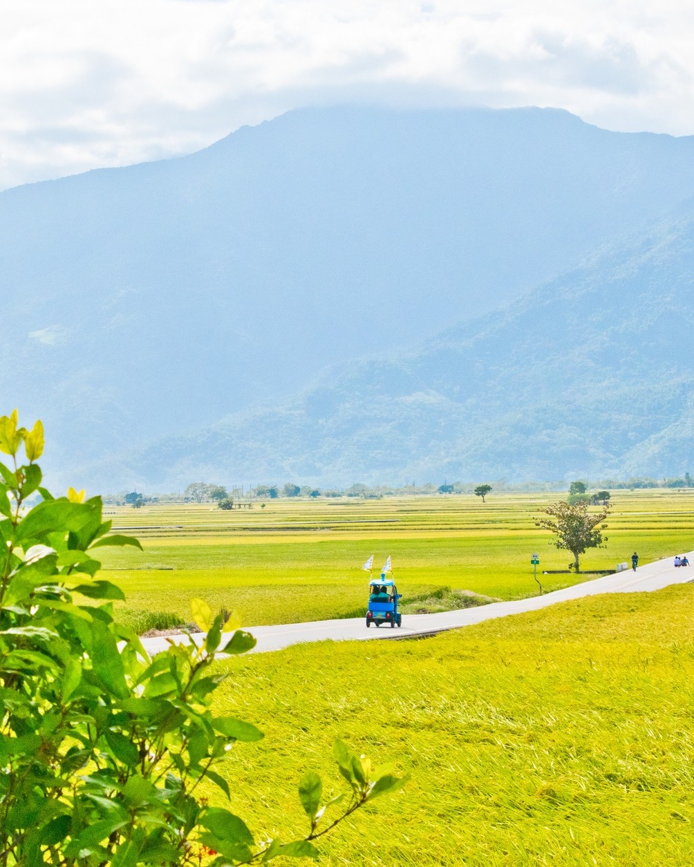 Bienvenue à Chishang 💛

D’octobre à décembre, les champs de riz se parent de couleurs jaune doré juste avant leur récolte. C’est la meilleure période pour explorer le Chishang et le comté de Taitung !

Ce qu’il faut faire à Chishang dans l’ordre (si tu l’acceptes bien sûr 🤝) 👇
1️⃣ Louer un vélo pour te promener. La circulation des voitures et scooters est interdite sur certaines portions de route. Tu pourras très facilement trouver un vélo électrique ou classique sur place.
2️⃣ Aller voir Mr. Brown Avenue et Paradise Road, deux routes emblématiques qui traversent les champs.
3️⃣ Manger un Chishang bento au Wu Tao Chishang Fan Bao Museum.

Ici, on ralentit, on prend son temps et on profite du paysage. En mode slow tourisme ! 😌

📸 Jeff - Taïwan Tourisme