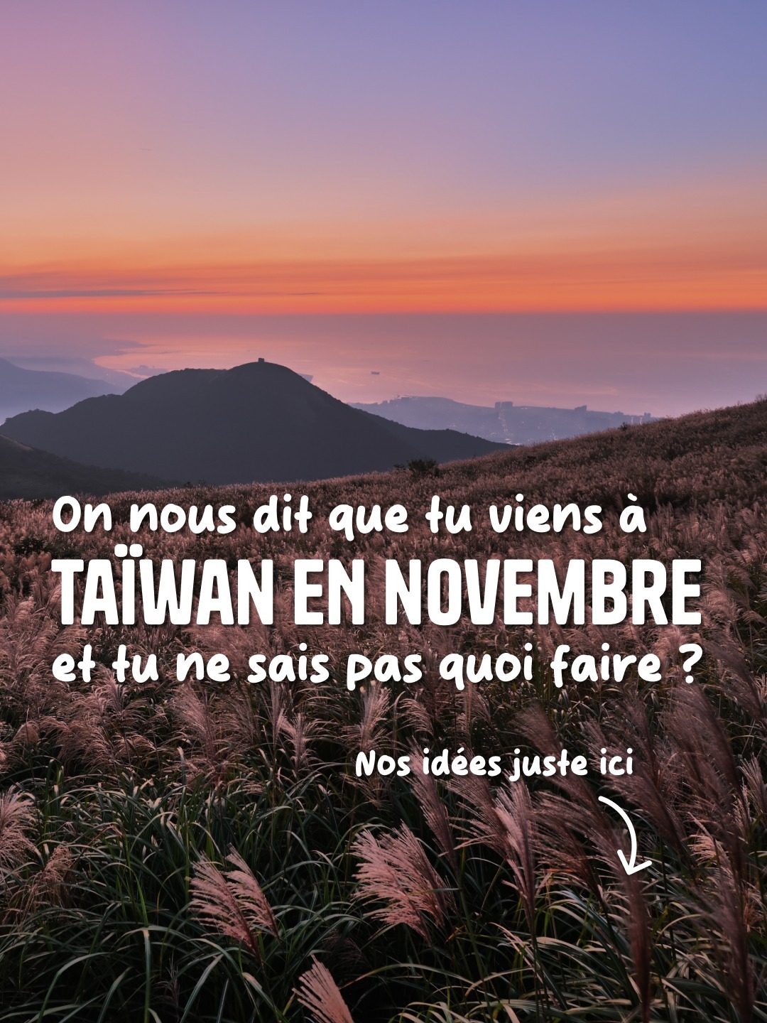 Ta dose d’inspiration pour profiter de Taïwan en novembre 🧡

En novembre, les régions montagneuses du nord sont encore parfois arrosées par la mousson alors que le sud est plus sec. Les journées sont ensoleillées et les températures douces mais commencent légèrement à se rafraîchir. Le mois parfait pour se promener, vadrouiller en extérieur et profiter d’événements qui nous font sortir la truffe dehors. 🫶

Les événements de novembre à Taïwan 👇

1️⃣ 2026 Penghu Cross-Sea Marathon : un marathon unique en son genre à travers les îles de Penghu
📆 1er novembre 2026 
📍 Xiyu West Fort Visitors Center

1️⃣ 2026 Art Taipei : une grande exposition où les galeries invitées présentent leurs oeuvres d’art contemporain
📆 du 30 octobre au 2 novembre 2026 
📍 Taipei World Trade Center, Exhibition Hall 1

2️⃣ Ultra Taiwan : un festival de musique électronique (EDM) avec têtes d’affiches mondiales et scènes techno/house
📆 14 novembre 2026 de 13h30 à 22h
📍 Dajia Park, Taipei

4️⃣ Come Bike Day : des parcours à vélo pour faire le tour de Sun Moon Lake
📆 21 novembre 2026 de 13h30 à 22h
📍 Sun Moon Lake

Les activités de novembre à Taïwan 👇
1️⃣Faire du birdwatching à Daxueshan National Forest Recreation Area, Guandu Nature Park, Taijian & Aogu Wetlands
2️⃣ Admirer la magie de l’automne à Alishan, Yangmingshan et Mingchi National Forest Area
3️⃣ Faire un plouf dans une hot spring à Beitou ou Guanziling
4️⃣ Explorer les night markets (il y a moins de monde à cette saison !)

Pssst : on te conseille d’enregistrer ce post pour ne rien oublier et de suivre notre compte si ce n’est pas déjà fait pour découvrir de nouvelles pépites chaque semaine. 🫶

📸 lcc54613 - Adobe Stock