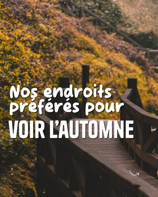 L’automne à Taïwan, c’est vraiment magique 🧡

Si tu prévois de venir nous voir à cette saison et que tu adores explorer les merveilles de la nature, ce carrousel est fait pour toi. 💪

Nos endroits préférés pour l’automne : 
📍Alishan
📍People Park, Taipei
📍Qingjing Farm
📍Wuling Farm
📍Yangmingshan
📍Chishang

Et si tu es déjà venu.e, tu conseillerais quoi d’autre à notre communauté ? Dis-nous tout en commentaire. 👇 

📸 fenlio / YuanChieh / Richie Chan / Chen / chunyen / chuck hsu - Adobe Stock