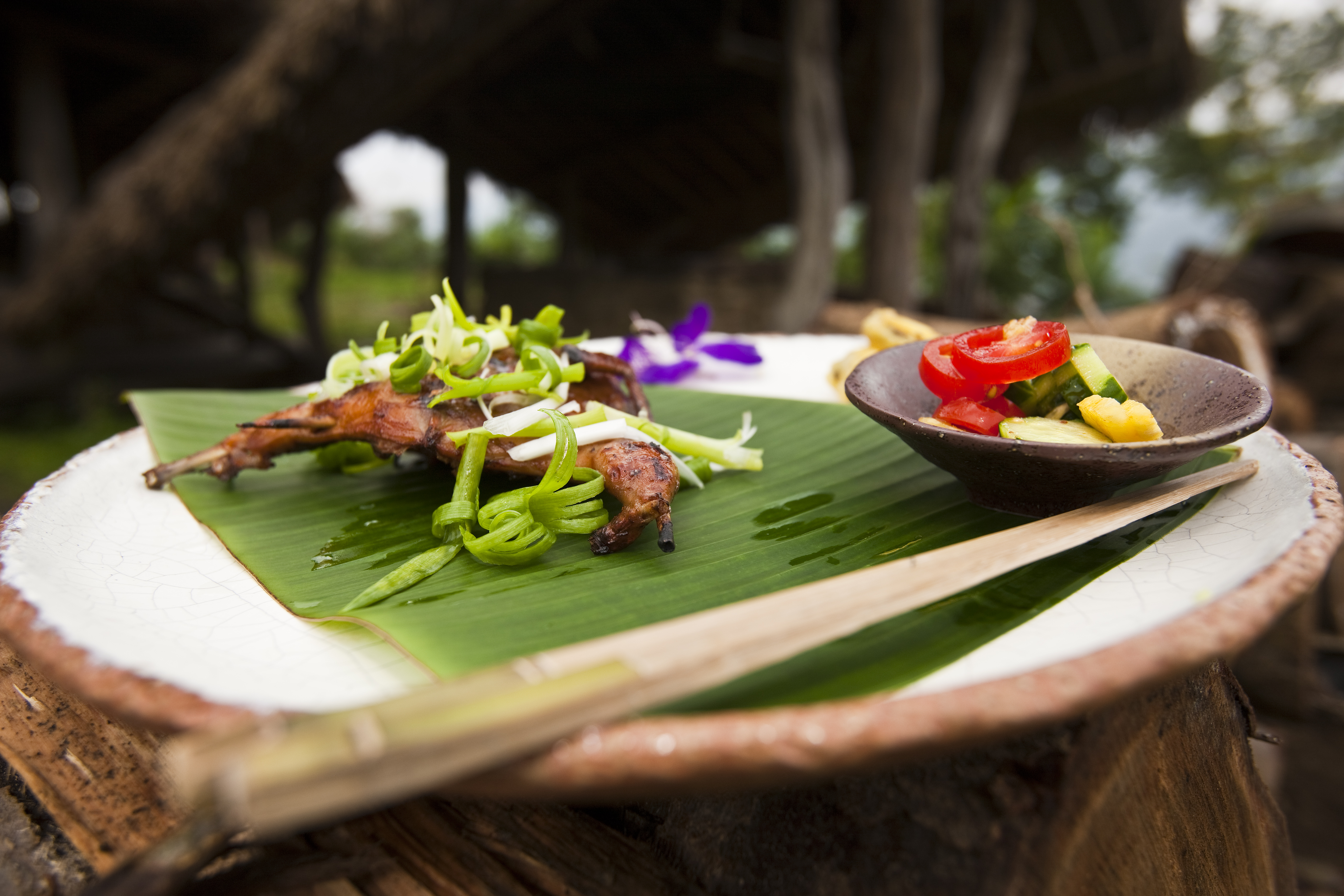 Gastronomie aborigène